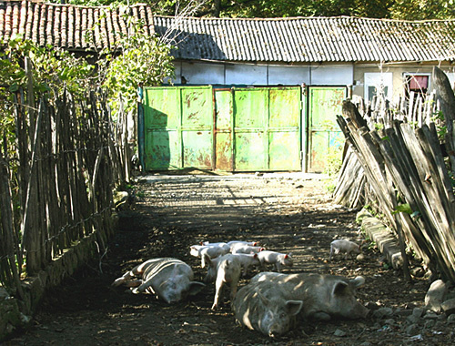 A dwelling house in Perevi village, Georgia, October 2010. Photo by http://springator.livejournal.com