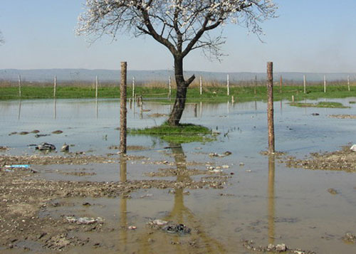 Minefield, Chechnya. Source: http://an222.photosight.ru