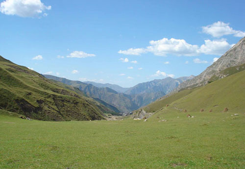 Chechnya, Sharoiskij district. Photo of Said Magomedov, specially for "Caucasian Knot".