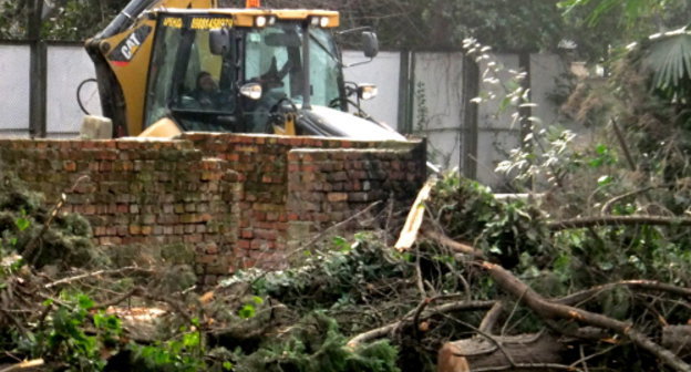 Cutting down trees in Krasnoarmeiskaya Street in Sochi, January 7, 2012. Photo by Svetlana Kravchenko for the "Caucasian Knot"