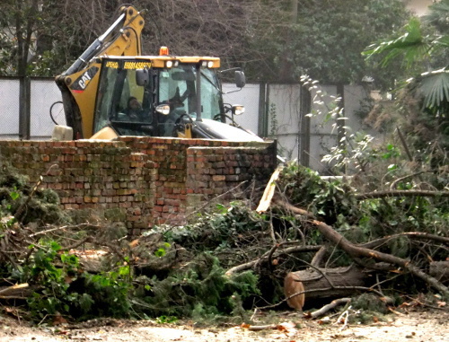 Cutting down trees in Krasnoarmeiskaya Street in Sochi, January 7, 2012. Photo by Svetlana Kravchenko for the "Caucasian Knot"