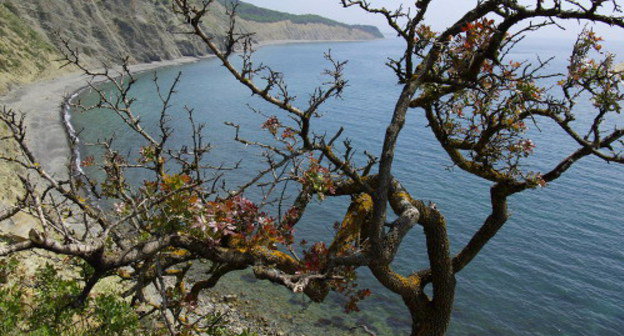 View of the lagoon of Bolshoi Utrish, May 2010. Courtesy of the Ecological Watch for Northern Caucasus: www.ewnc.info