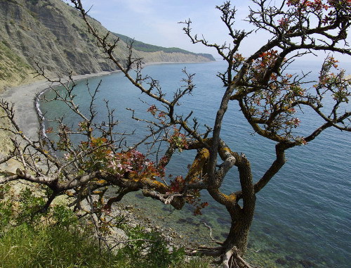 View of the lagoon of Bolshoi Utrish, May 2010. Courtesy of the Ecological Watch for Northern Caucasus: www.ewnc.info