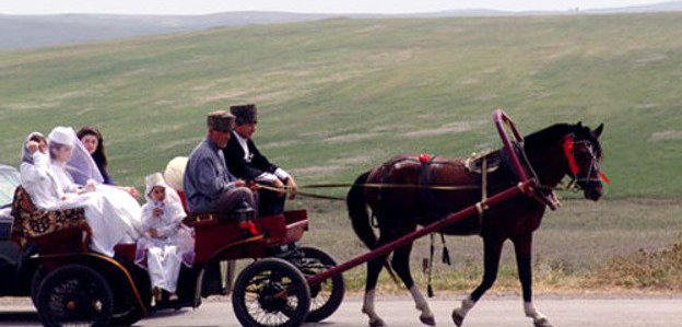 Ingushetia, wedding. Photo by www.ingushetia.ru