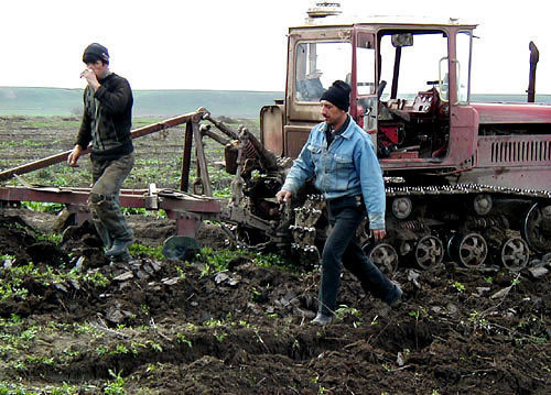 Chechnya. Photo by www.chechnyafree.ru