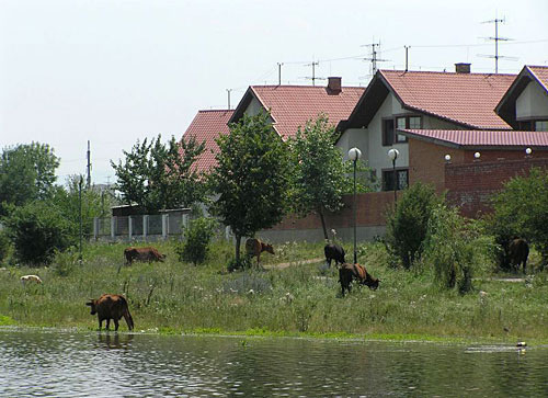 Ingushetia. Photo by www.venividi.ru/user/183, Artem Rusakovich