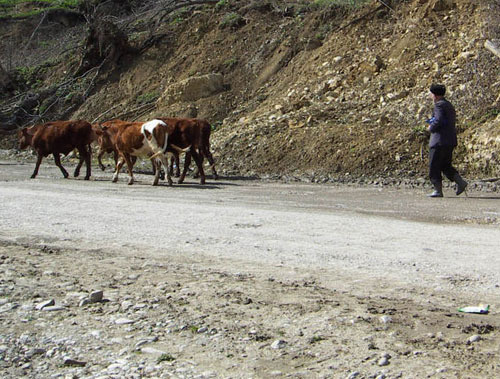 Ingushetia. Photo by http://ru.wikipedia.org