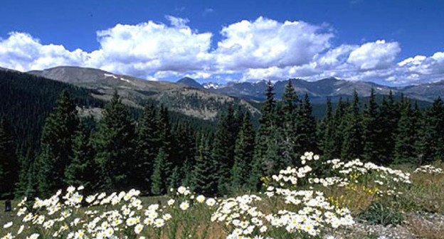 Adygea, Lago-Naki plateau. Photo by www.lagonaki.com