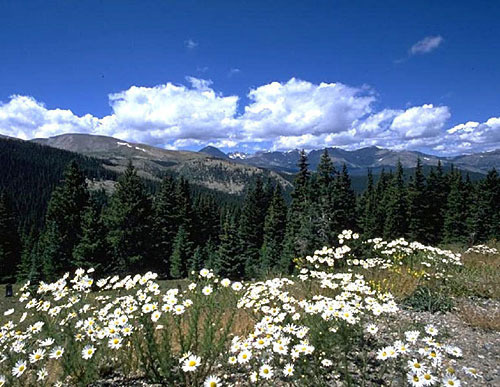 Adygea, Lago-Naki plateau. Photo by www.lagonaki.com