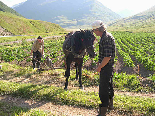 North Ossetia, Alagir District. Peasants from Bad mountainous village at tillage. Photo by the "Caucasian Knot"