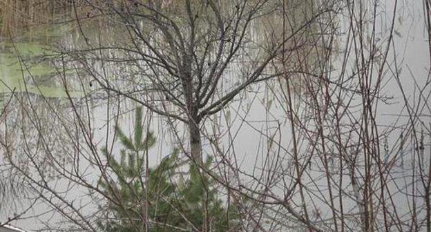 Flooded Horticultural Comradeship "Polygraphist". Rostov-on-Don. Photo by http://picasa.google.com