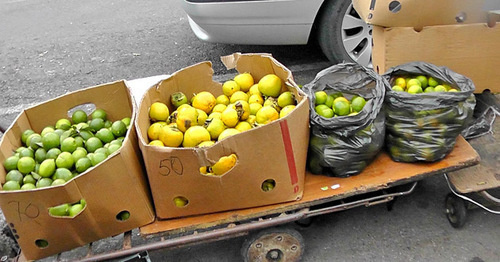 Fruit market on the Abkhazia–Russia border. Photo by Anna Gritsevich for the "Caucasian Knot"