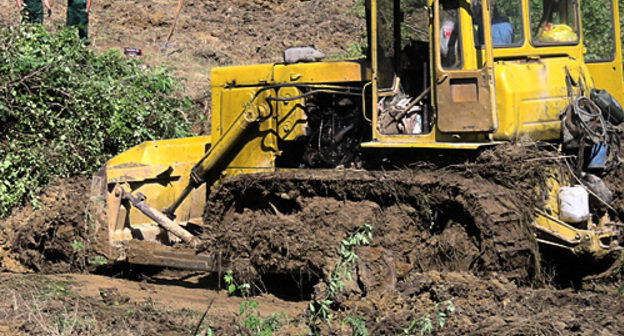 Extermination of tea plantation on the territory All-Russia Research Institute of Horticulture and Sub-tropical Plants in Sochi. June 30, 2010. Photo by the "Caucasian Knot"