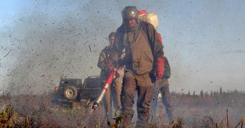 Participants of EcoWatch anti-fire expedition combat fire in Shapsug, Krasnodar Region, September 2016. Photo: http://ewnc.org/node/23061