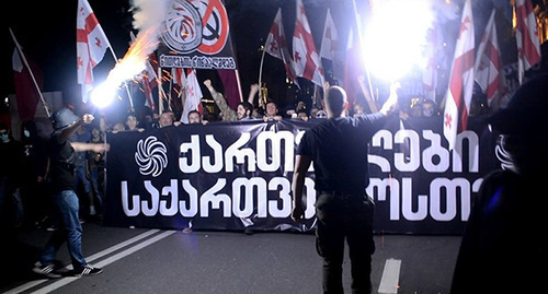 Rally by "Kartuli Dzala" (Georgian Power). © Photo: "Kartuli Dzala", http://sputnik.by/incidents/20160601/1022914854.html