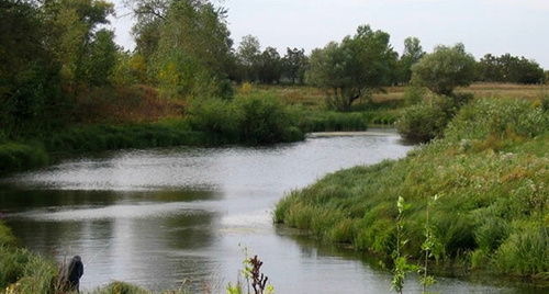 A view of the "Volga-Akhtuba Floodplain" Park. Photo: http://www.volganet.ru/index.php/component/k2/item/download/news/2498/news/2522/news/1871/news/2809/?SHOWALL_1=1