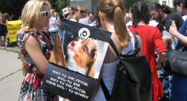 Picket in defence of animals in Rostov-on-Don, July 8, 2017. Photo by Konstantin Volgin for the Caucasian Knot. 