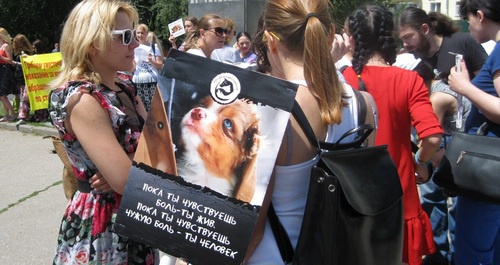 Picket in defence of animals in Rostov-on-Don, July 8, 2017. Photo by Konstantin Volgin for the Caucasian Knot. 