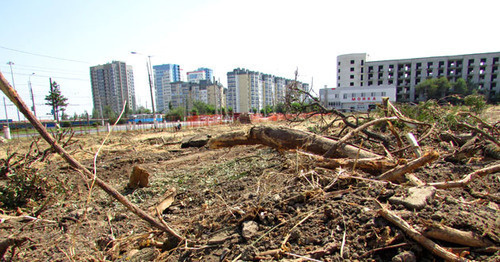 At the place where the trees were cut down near the Widow's Park at the Mamaev Mound. Volgograd, July 27, 2017. Photo by Vyacheslav Yaschenko for "Caucasian Knot"