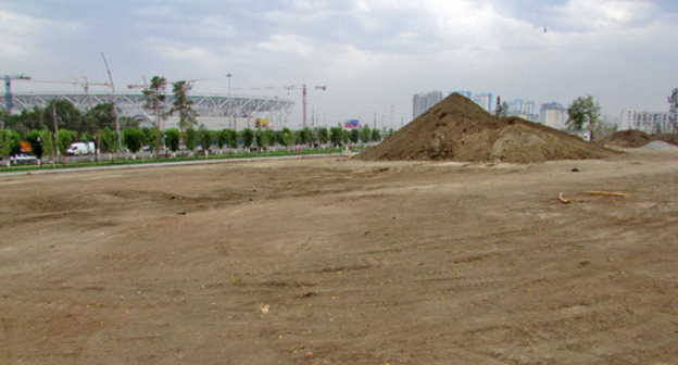 Widows’ Park after tree felling, Volgograd, July 31, 2017. Photo by Vyacheslav Yaschenko for the Caucasian Knot. 