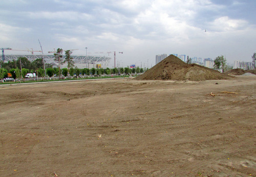 Widows’ Park after tree felling, Volgograd, July 31, 2017. Photo by Vyacheslav Yaschenko for the Caucasian Knot. 