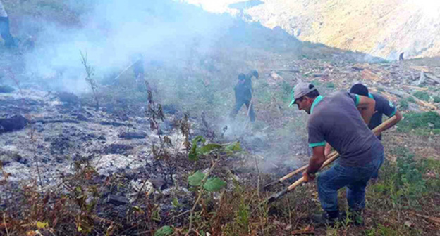 Fire-fighters stop the spread of fire in the National Park of Georgia. Photo https://www.facebook.com/163336040510811/photos/ms.c.eJw9ysEJACAMA8CNpKZNSfZfTCri8~_CEIpG9g1R6aWxHpVRbz~_pr4Ht~_yAed5Az0.bps.a.824552324389176.1073742904.163336040510811/824559861055089/?type=3&amp;theater