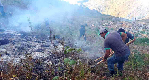 Fire-fighters stop the spread of fire in the National Park of Georgia. Photo https://www.facebook.com/163336040510811/photos/ms.c.eJw9ysEJACAMA8CNpKZNSfZfTCri8~_CEIpG9g1R6aWxHpVRbz~_pr4Ht~_yAed5Az0.bps.a.824552324389176.1073742904.163336040510811/824559861055089/?type=3&amp;theater