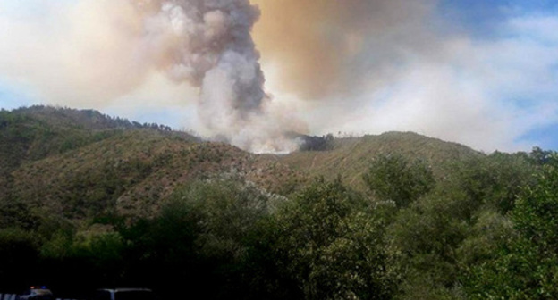 The fire in the Borjomi Gorge. August 2017. Photo http://m.minval.az/news/123714269