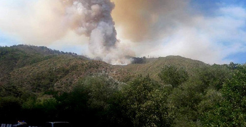 The fire in the Borjomi Gorge. August 2017. Photo http://m.minval.az/news/123714269