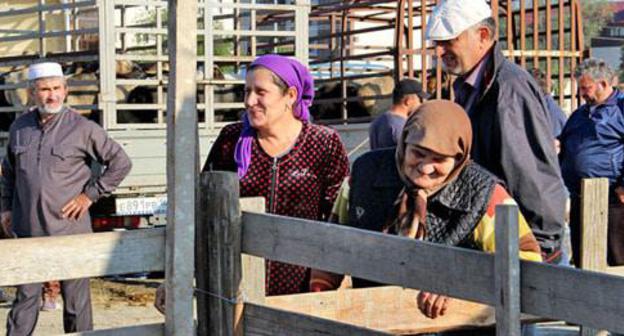 Women on the market in Chechnya. Photo by Magomed Magomedov for the Caucasian Knot. 