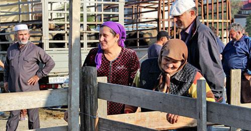 Women on the market in Chechnya. Photo by Magomed Magomedov for the Caucasian Knot. 