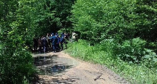 A forest in the Vedeno District of Chechnya. Photo http://www.grozny-inform.ru/main.mhtml?Part=11&amp;PubID=84960