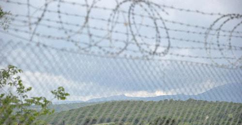 Barbed wire on the border. Photo © Sputnik / Dmitry Vinogradov