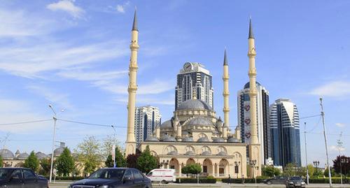 Grozny. Photo by Magomed Magomedov for the "Caucasian Knot"