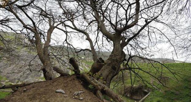 Hadrut. Nagorno-Karabakh. Photo: © Sputnik/ Asatur Yesayants https://ru.armeniasputnik.am/karabah/20170301/6564963/razvedchik-diaspora-sdelala-granitsu-karabakha-silnee-i-sovremennee.html