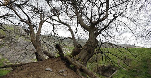 Hadrut. Nagorno-Karabakh. Photo: © Sputnik/ Asatur Yesayants https://ru.armeniasputnik.am/karabah/20170301/6564963/razvedchik-diaspora-sdelala-granitsu-karabakha-silnee-i-sovremennee.html