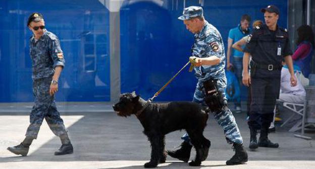 Detector dog handler. Photo by Vlad Alexandrov, Yuga.ru