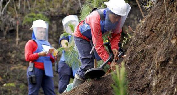 The HALO Trust's deminers at work. Фото: REUTERS/Fredy Builes