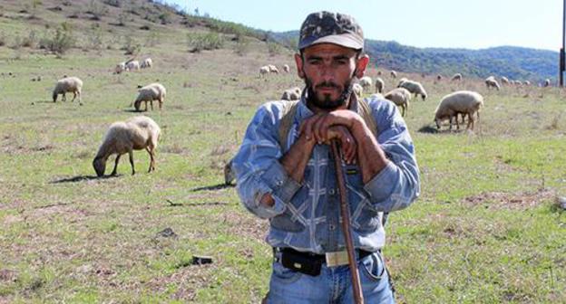 A shephуrd in the village of Mertaket. Photo by Alvard Grigoryan for the "Caucasian Knot"