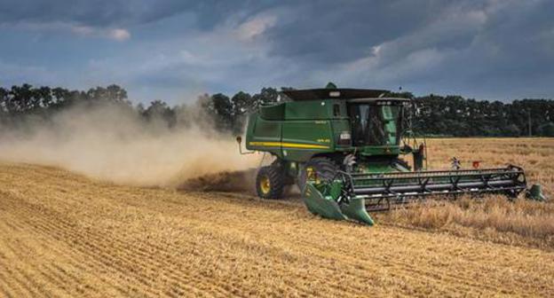 Harvesting. Photo: yuga.ru