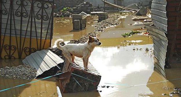 Flooding. Photo: © Olga Gromova / Yuga.ru