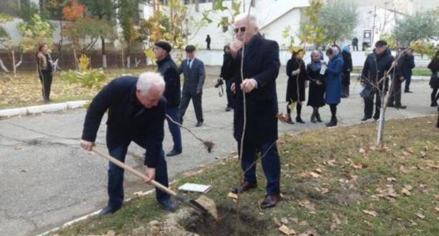 Activists planting trees in the Alley in memory of perished journalists at the Press House in Makhachkala, November 8, 2018. Phot by Rasul Magomedov for the Caucasian Knot