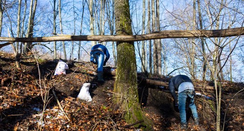 Gatherers of wild garlic. Photo: Radio Marsho (RFE/RL)