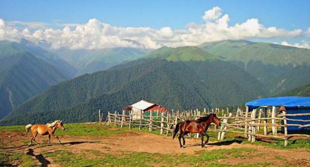 The Village of Kamilovka. Photo: Aliakbar2015 https://commons.wikimedia.org/wiki/Category:Zaqatala_Rayon#/media/File:Şamilovka,_Zaqatala.jpg