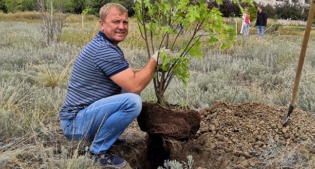 Activist is planting seedlings in Volgograd. Photo by Vyacheslav Yaschenko for the Caucasian Knot