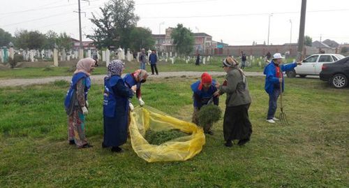 Chechnya residents take part in subbotnik. Photo: press service of the 'United Russia' Part, https://chechen.er.ru/