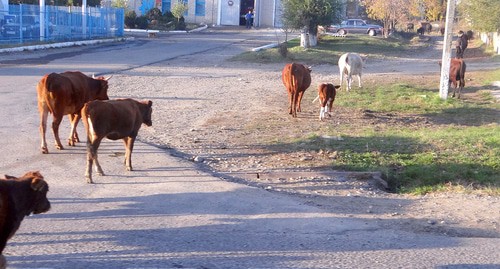 Non-urban area in Karachay-Cherkessia. Photo: Alexander Grishev, https://commons.wikimedia.org/wiki/File:Kavkazskiy,_Karachaevo-Cherkesskaya_Republits,_Russia,_369100_-_panoramio_(2).jpg