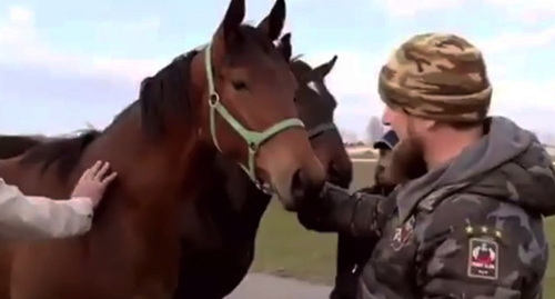 Ramzan Kadyrov with horses. Photo: Grozny Inform https://www.grozny-inform.ru