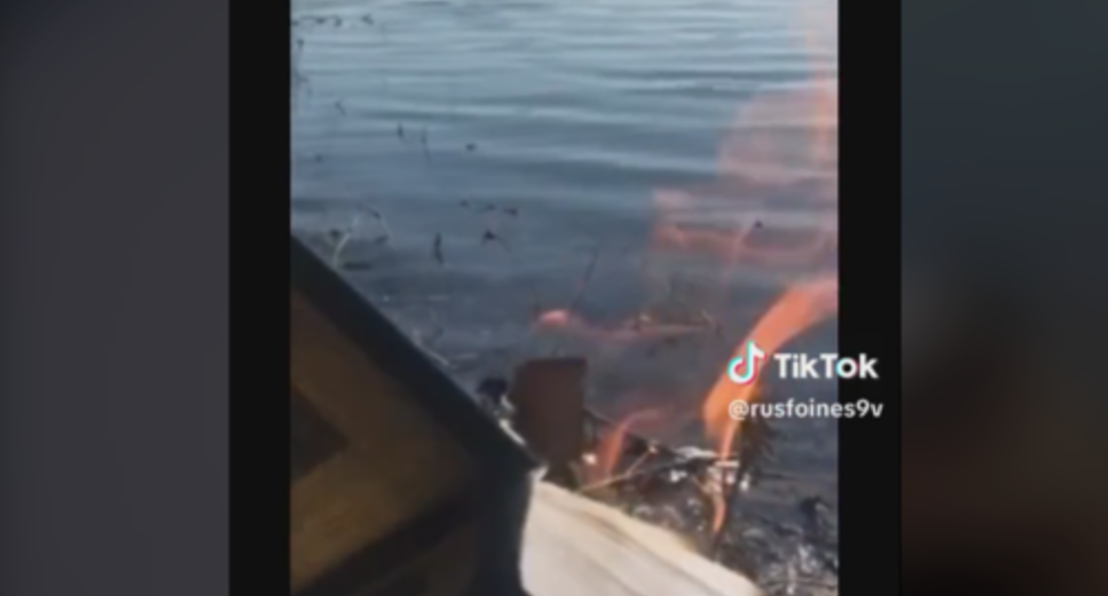 A still of the video about the burning of the Koran in Moscow. Screenshot of the video from the account rusfoines9v on TikTok https://www.tiktok.com/@rusfoines9v/video/7221832947689606405