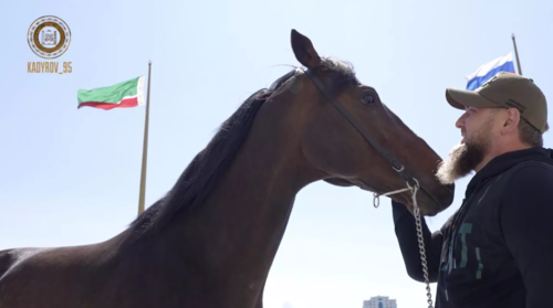 Ramzan Kadyrov with his stallion Zazu. Screenshot Kadyrov_95 / Telegram